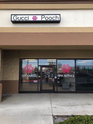 poochi gucci|gucci pooch boise.